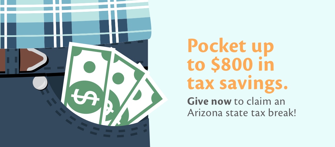 MIS90196 Donation Page Graphic 1140x500.jpg